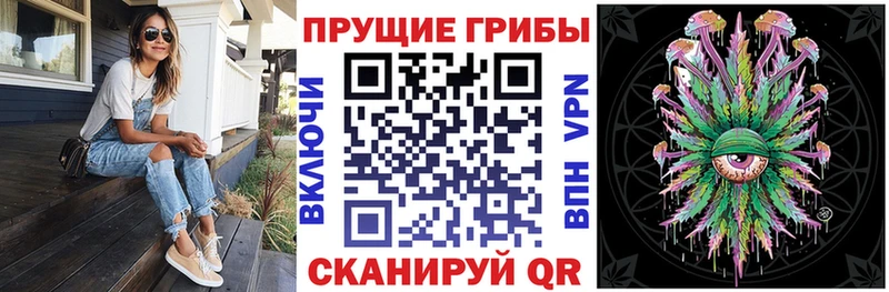 цены наркотик  ОМГ ОМГ онион  Псилоцибиновые грибы Psilocybine cubensis  Сосновый Бор 